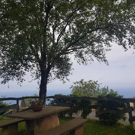 Harrigain Appartement *