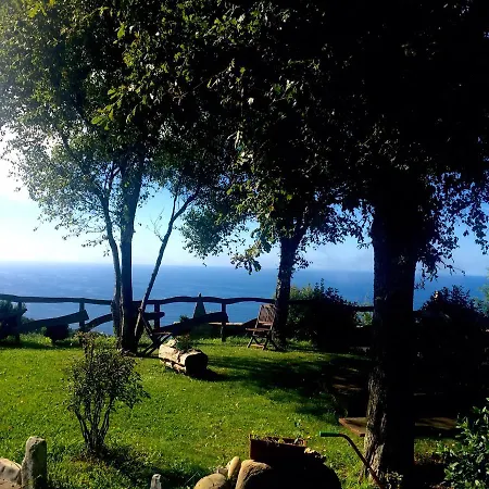 Harrigain * سان سيباستيان